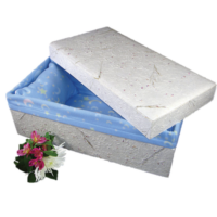 biodegradable_pet_coffin