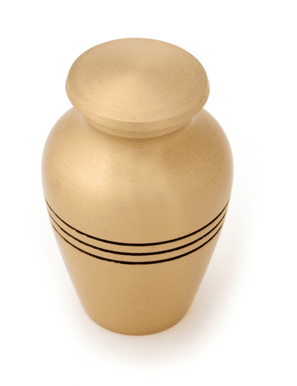bronze pet keepsake urn