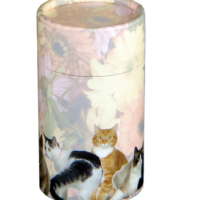 cat scatter tube