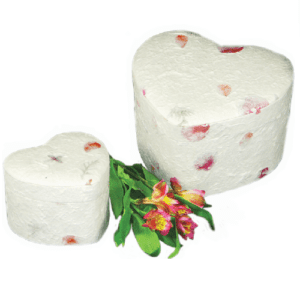 flower burial biodegradable