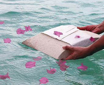 scattering ashes petals