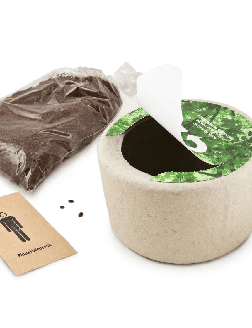 Bio Urn Tree Free Delivery UrnsForAshes.co.uk