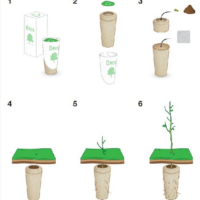 how to plant bio urn