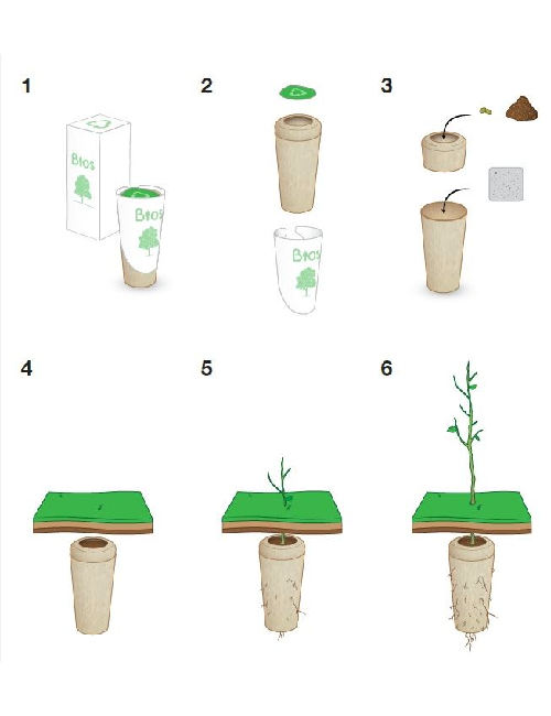 how to plant bio urn