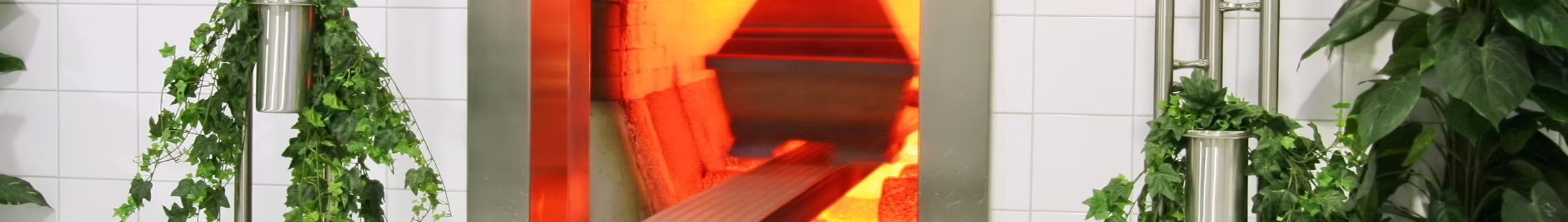 direct cremation