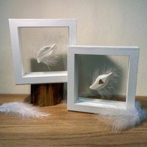 Ashes Feather Frame
