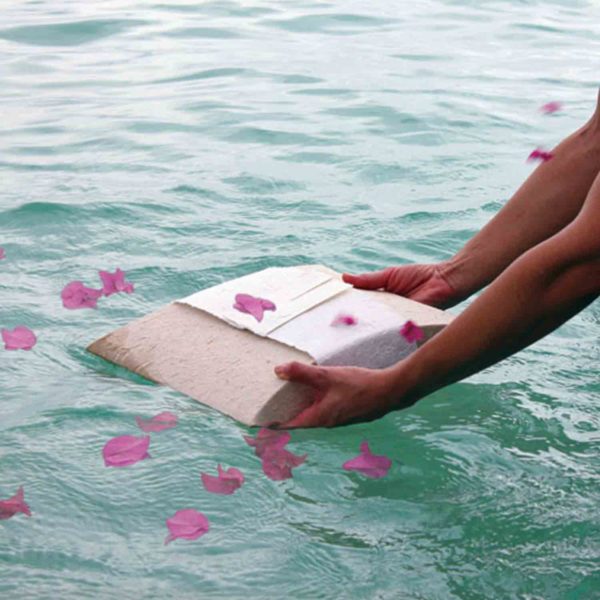 scattering flowers at sea