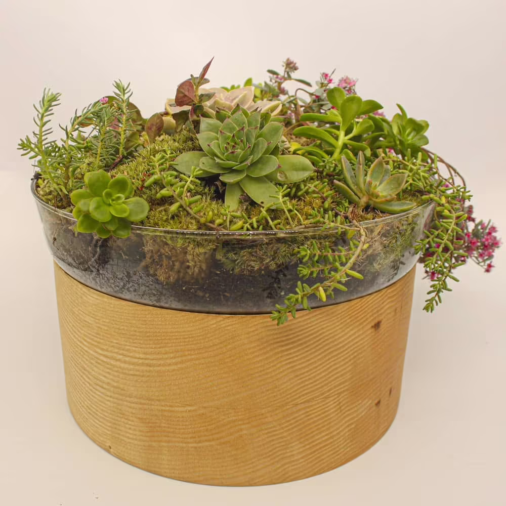 memorial plant pot for ashes