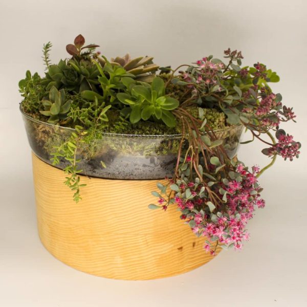 plant pot for ashes