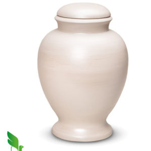 eco urn for ashes