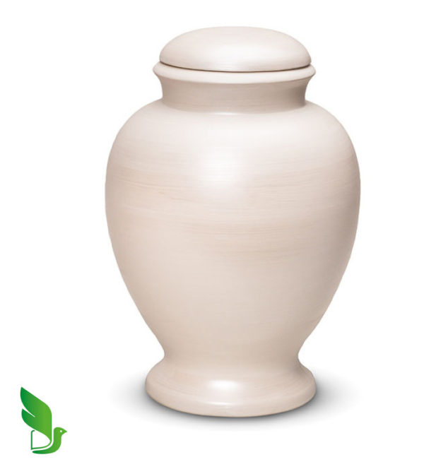 eco urn for ashes