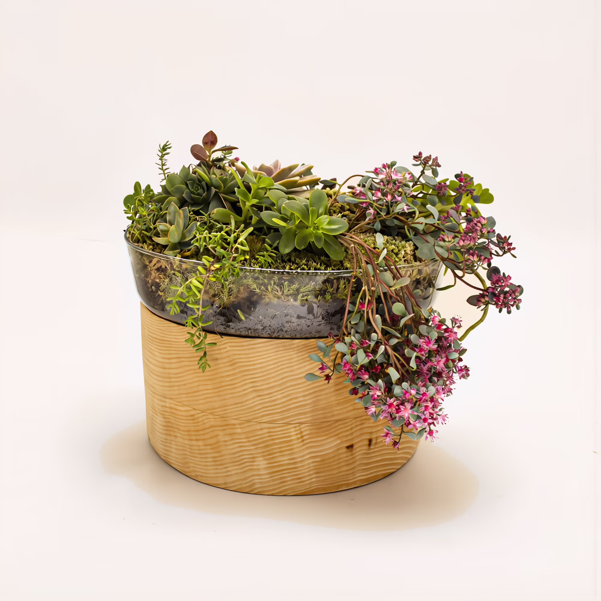 plant pot for ashes