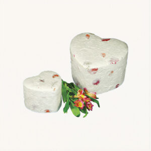 Biodegradable Urns