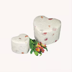 Biodegradable Urns