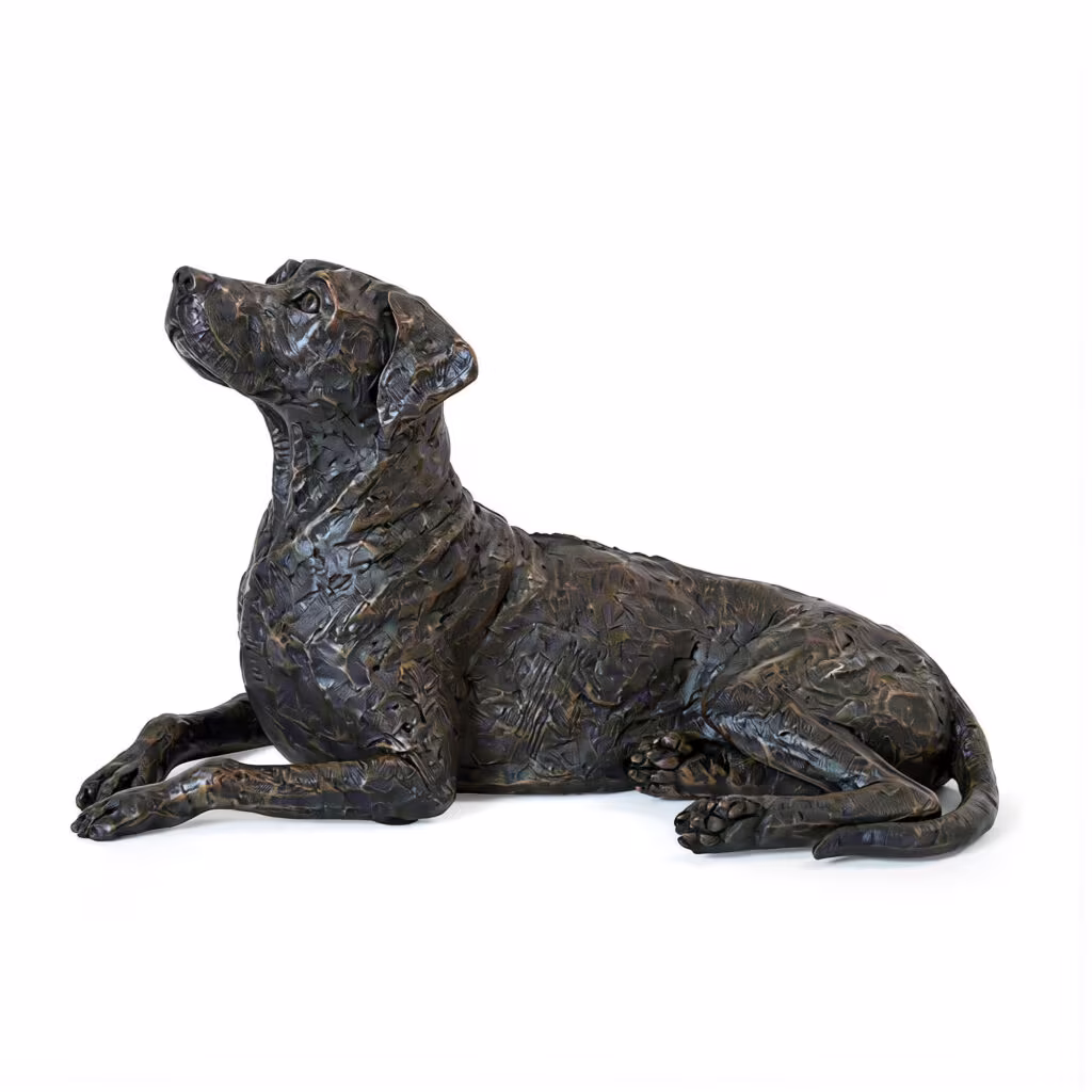 Rhodesian Ridgeback