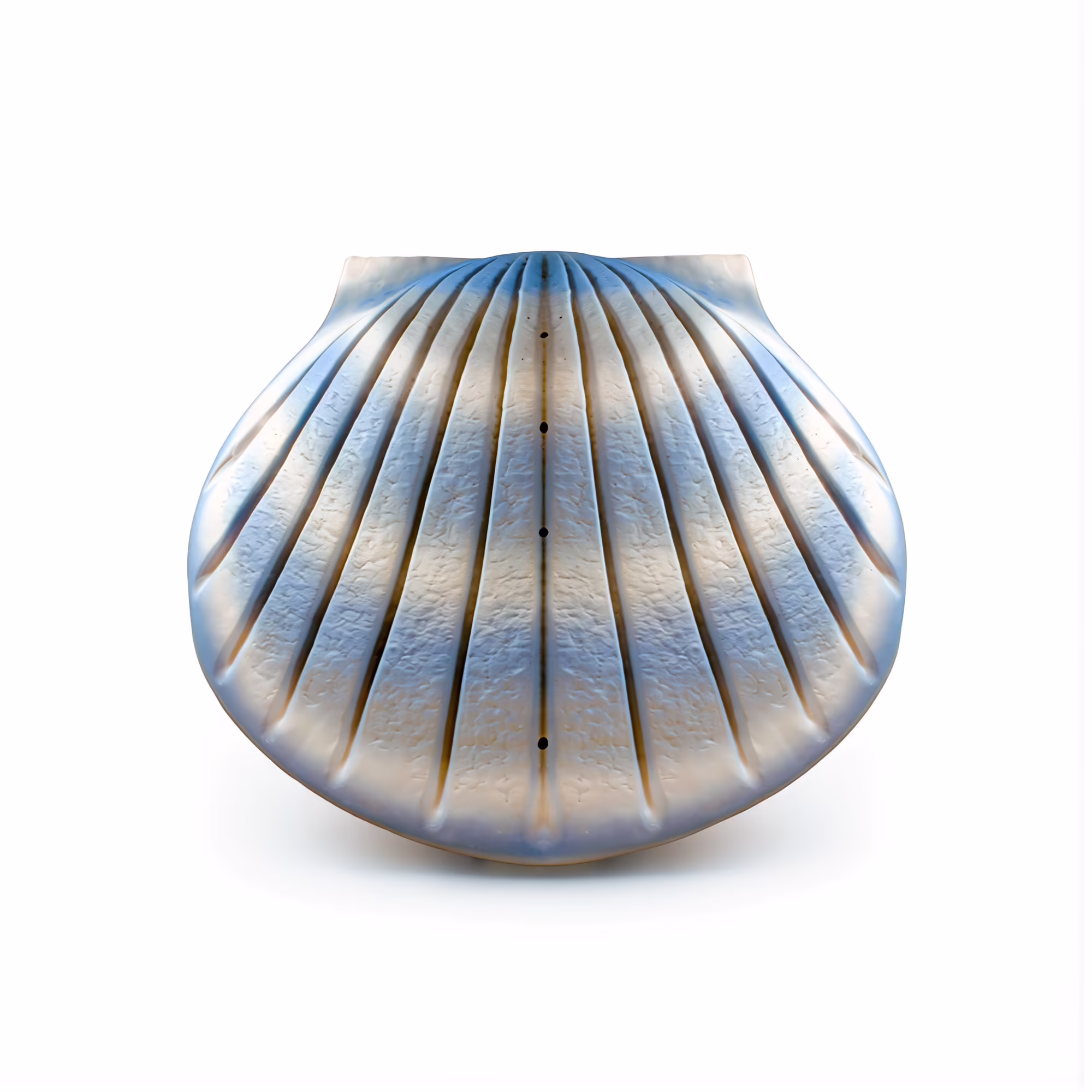 Sea Shell Water Urn - Blue
