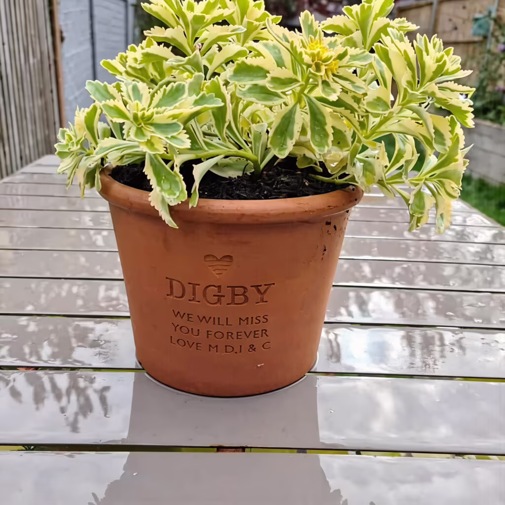 memorial plant pot
